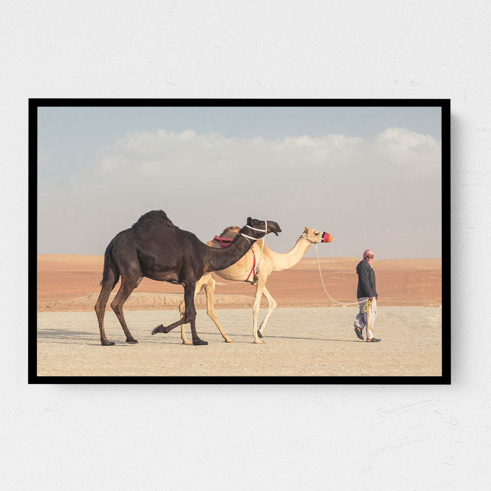 Black White Camels Wall Art